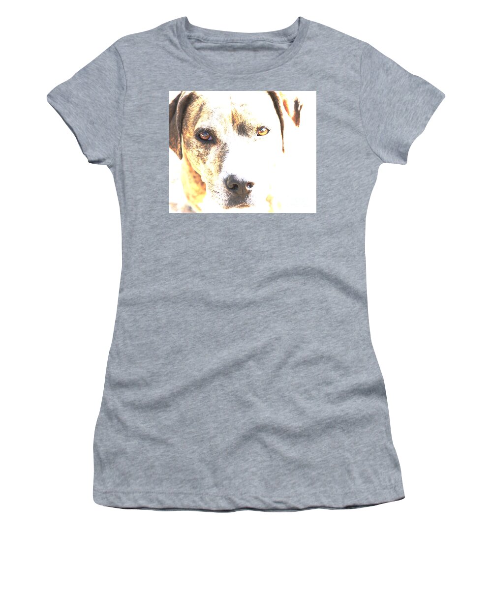 Dog Women's T-Shirt featuring the photograph She Sees Me by Kae Cheatham