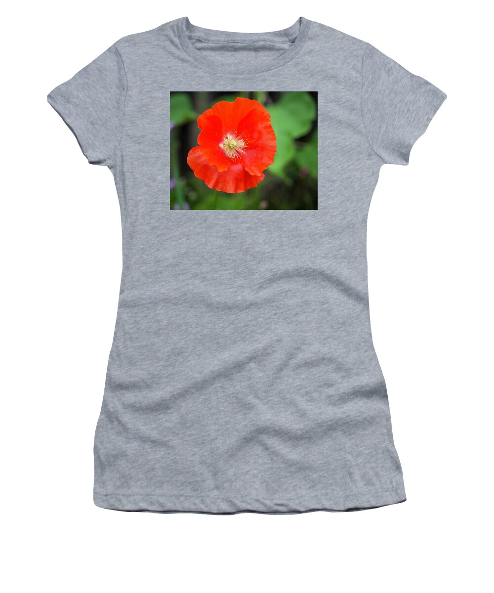 Shirley Poppy Women's T-Shirt featuring the photograph Shirley Poppy 2022-1 by Thomas Young