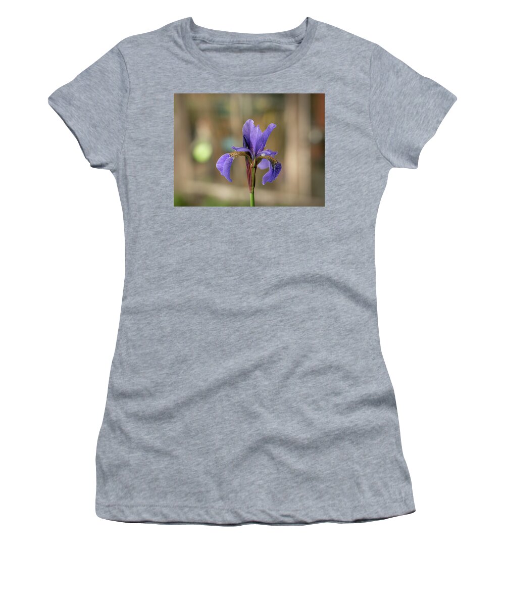 Spring Women's T-Shirt featuring the photograph Siberian iris - Iris sibirica by Average Images