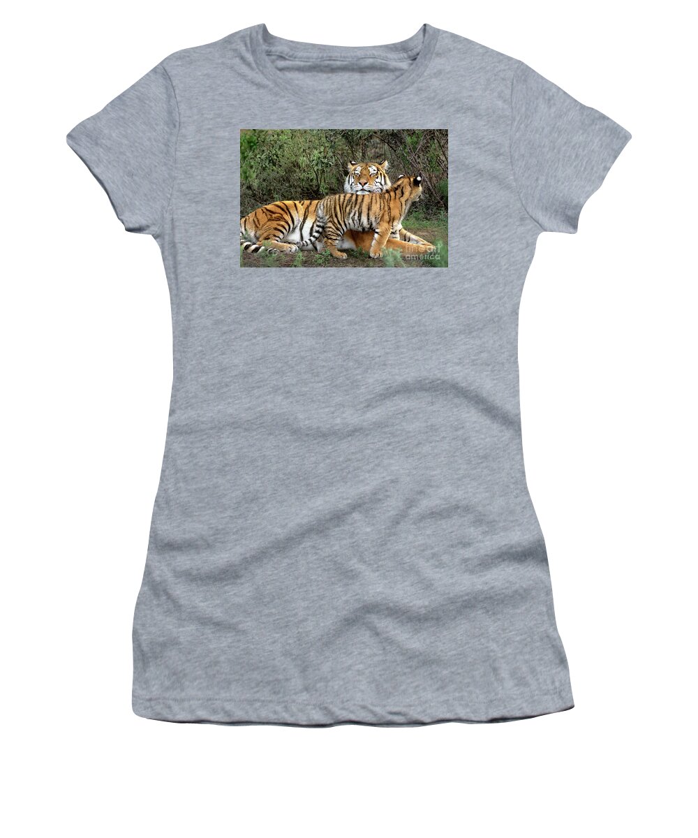 Native To Asia Women's T-Shirt featuring the photograph Siberian Tiger Cub Guarding Mom Wildlife Rescue by Dave Welling