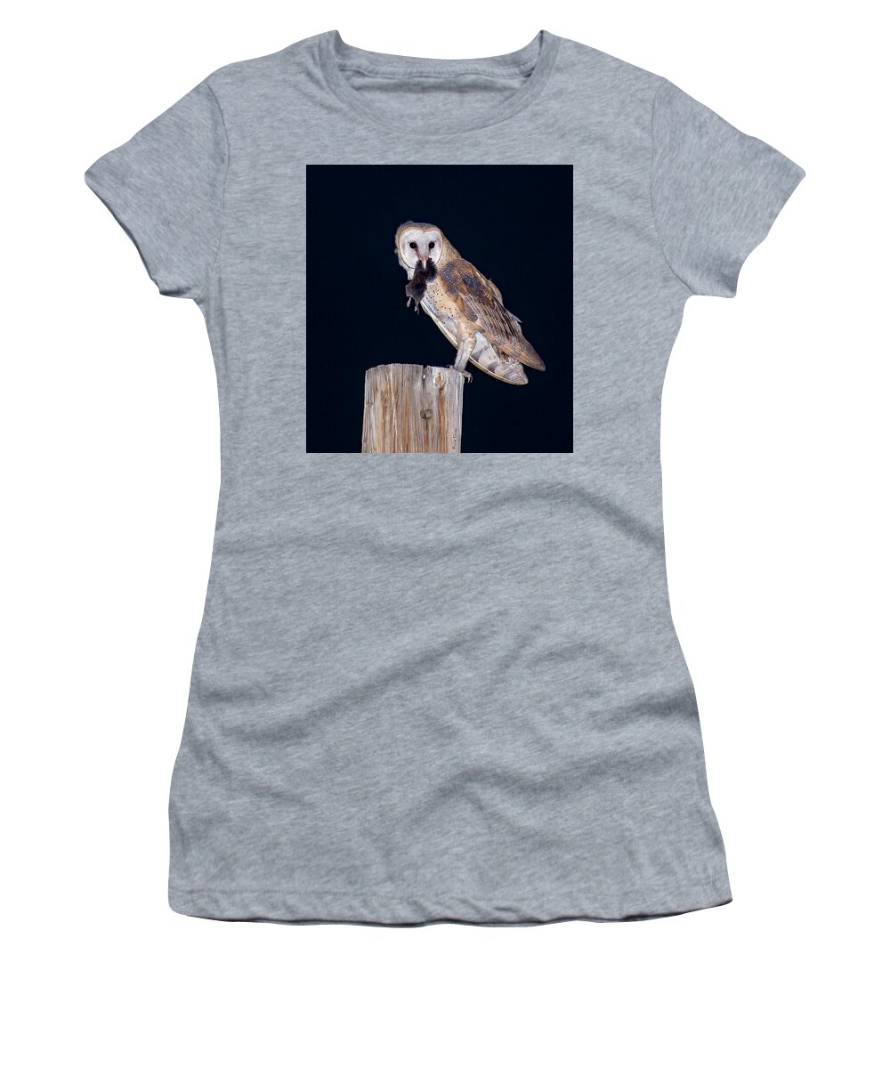 Barn Owl Women's T-Shirt featuring the photograph Silent Hunter by Judi Dressler