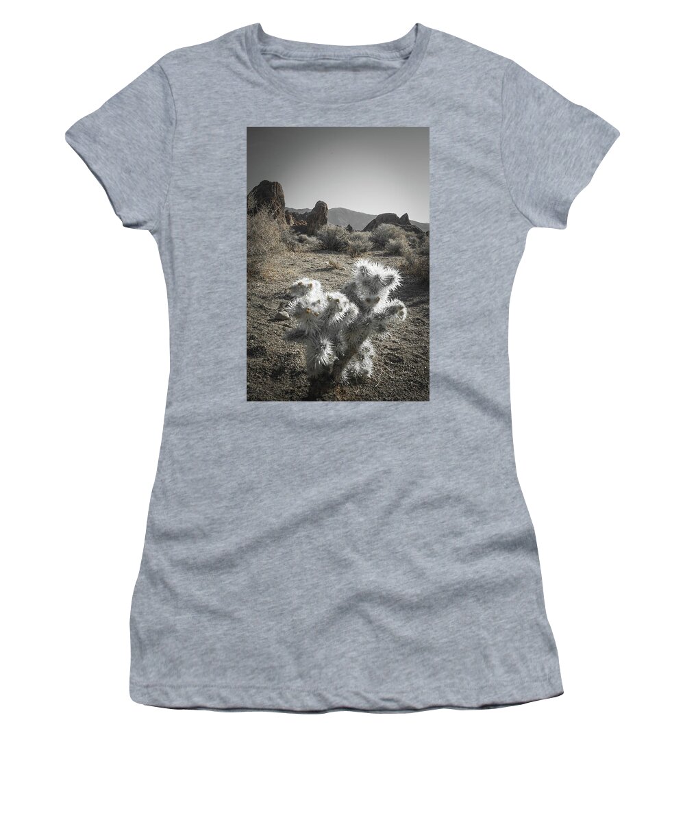 Alabama Hills Women's T-Shirt featuring the photograph Silver Succulent by Ryan Weddle