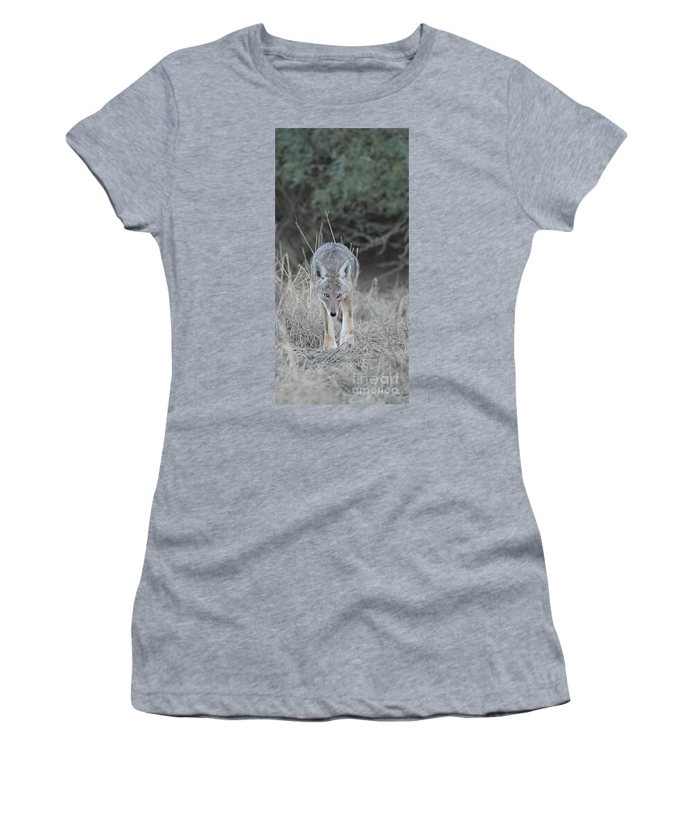 Coyote Women's T-Shirt featuring the digital art Sneaky by Tammy Keyes