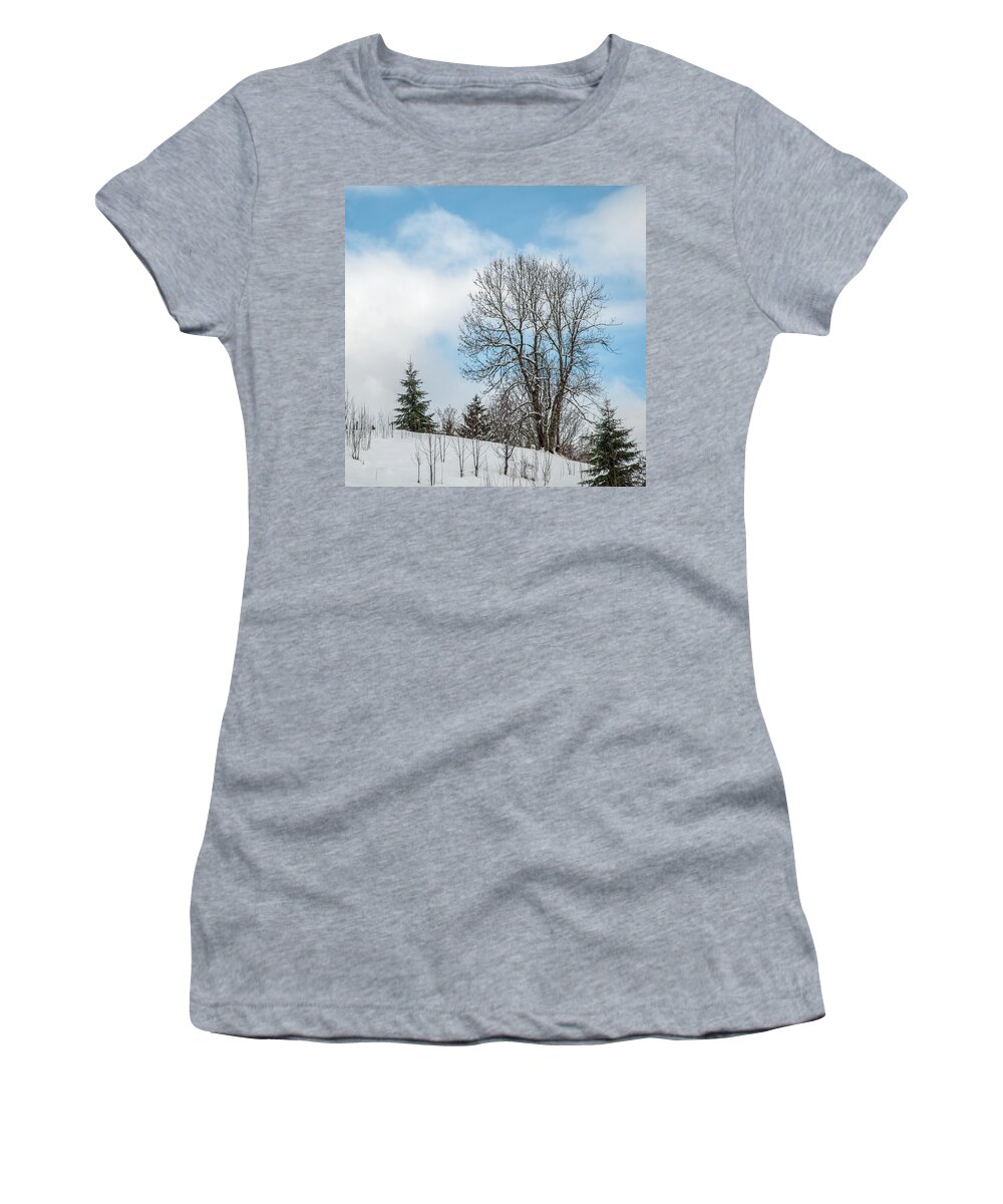 Trees In Snow Women's T-Shirt featuring the photograph Snow Beauty by Rob Hemphill