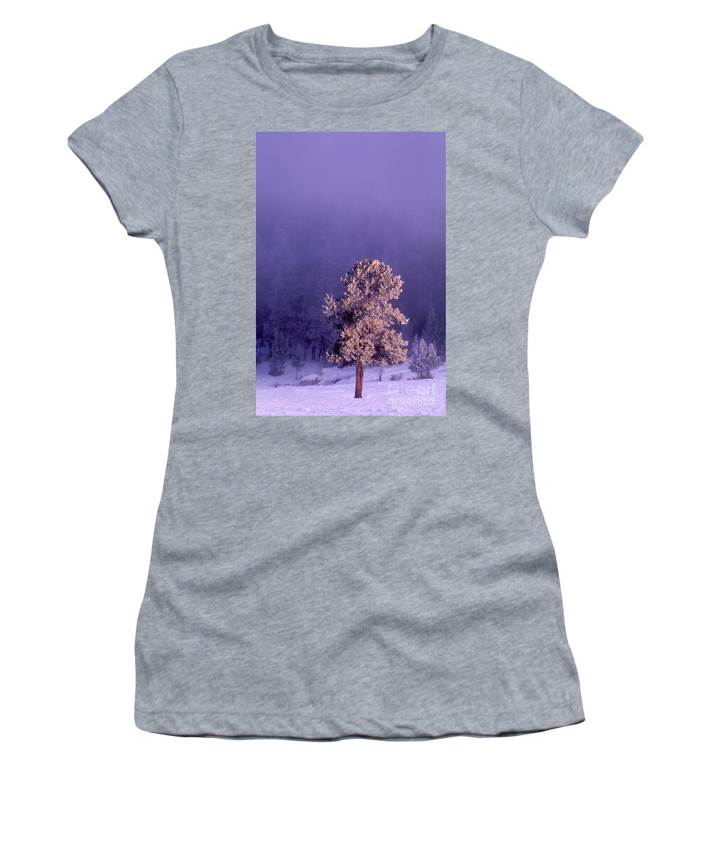 Dave Welling Women's T-Shirt featuring the photograph Snow Covered Fir Tree Yellowstone National Park by Dave Welling