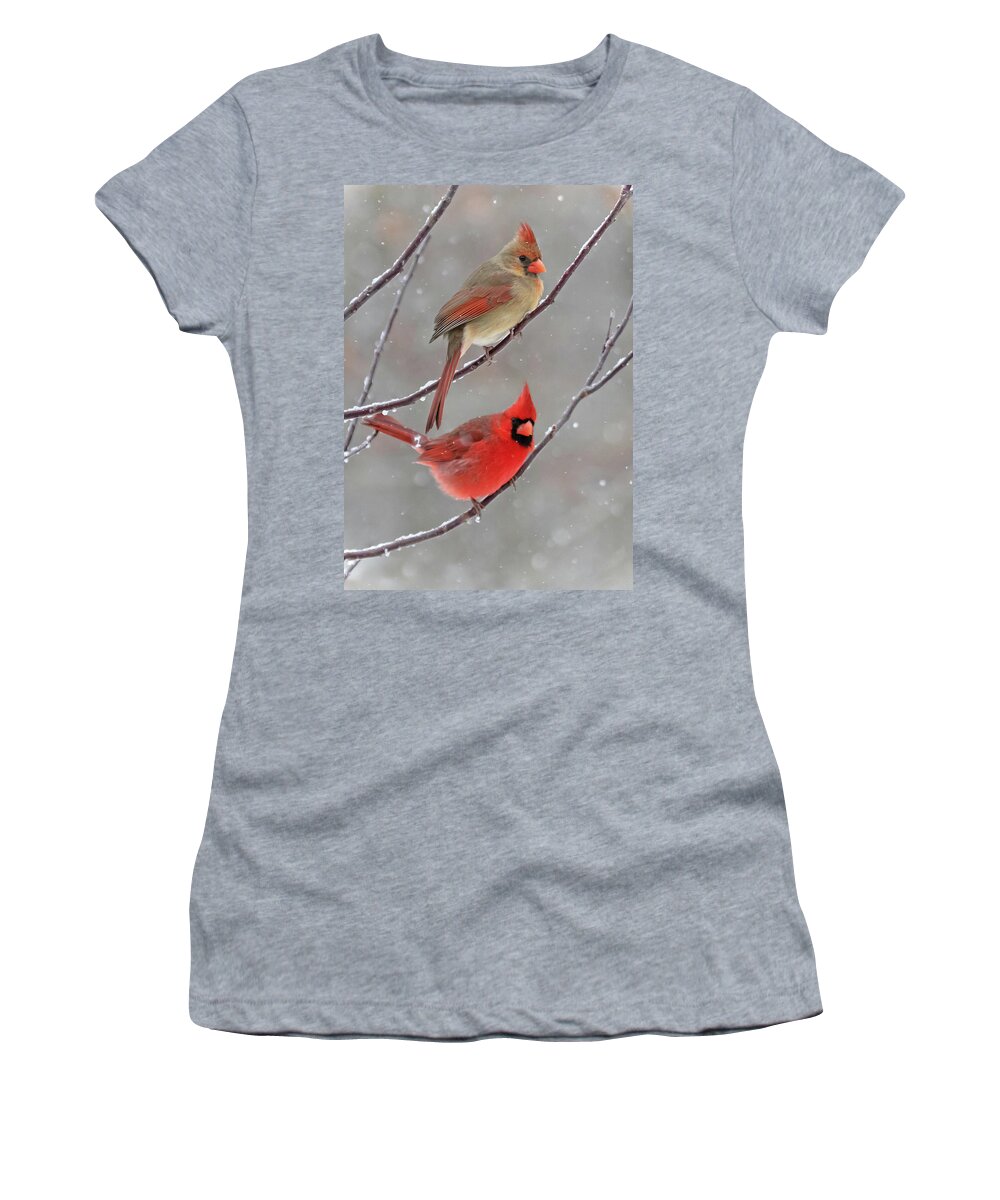 Snow Women's T-Shirt featuring the photograph Snow Day by Mindy Musick King