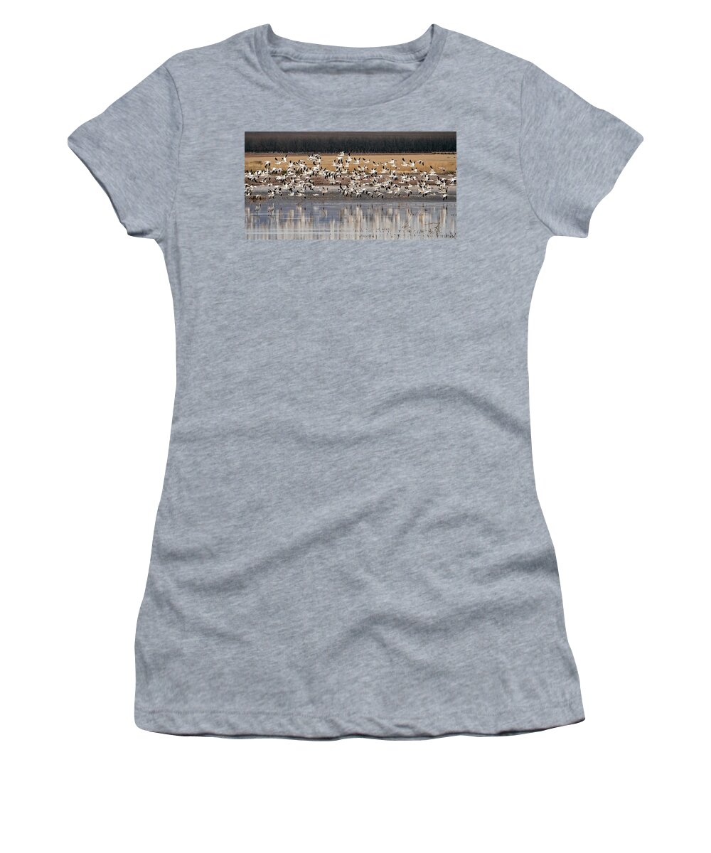 Snow Geese Women's T-Shirt featuring the photograph Snow Geese 3444-020122-2 by Tam Ryan