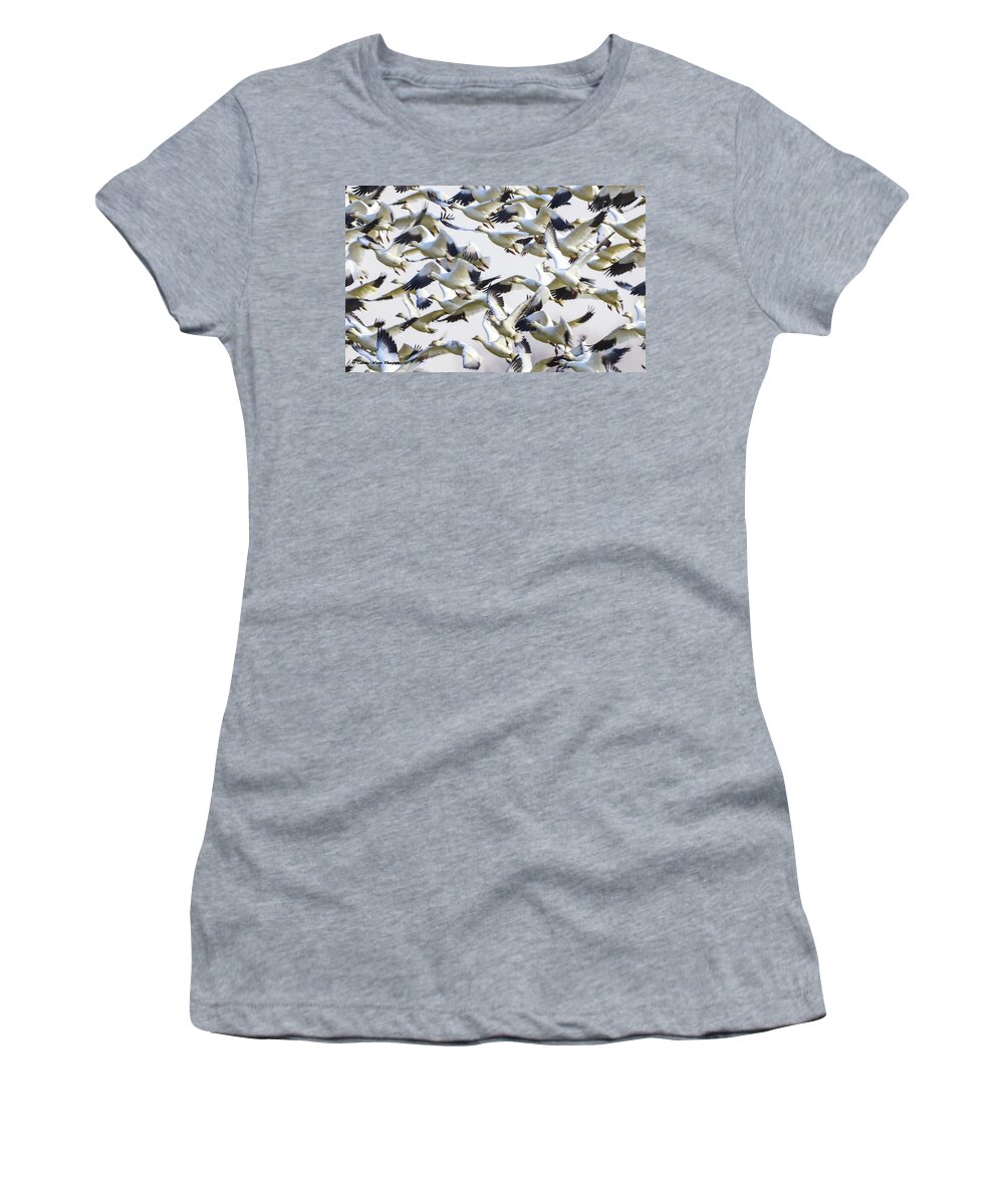 Snow Women's T-Shirt featuring the photograph Snow geese galore by Tahmina Watson