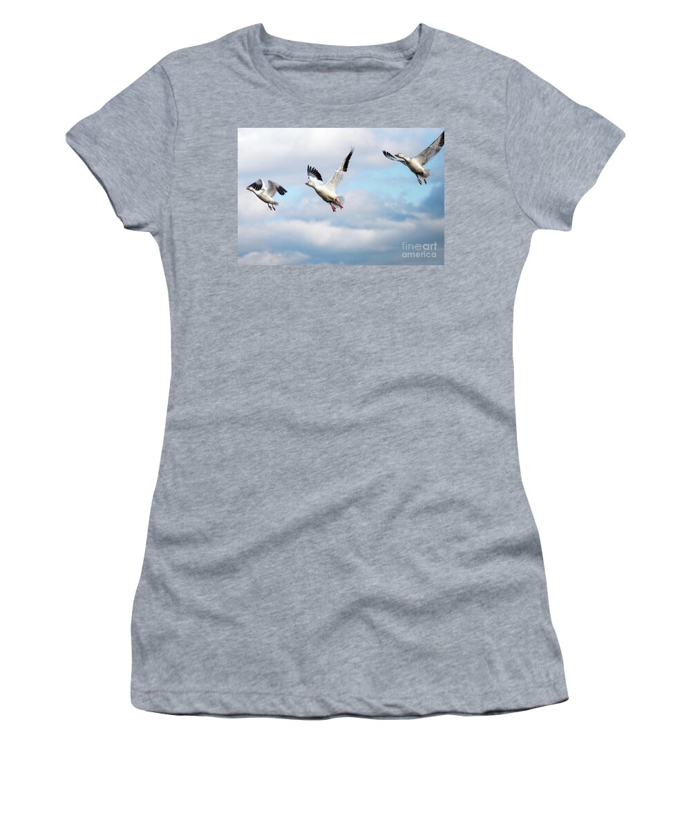 Winter Women's T-Shirt featuring the photograph Snow geese in flight by Rehna George