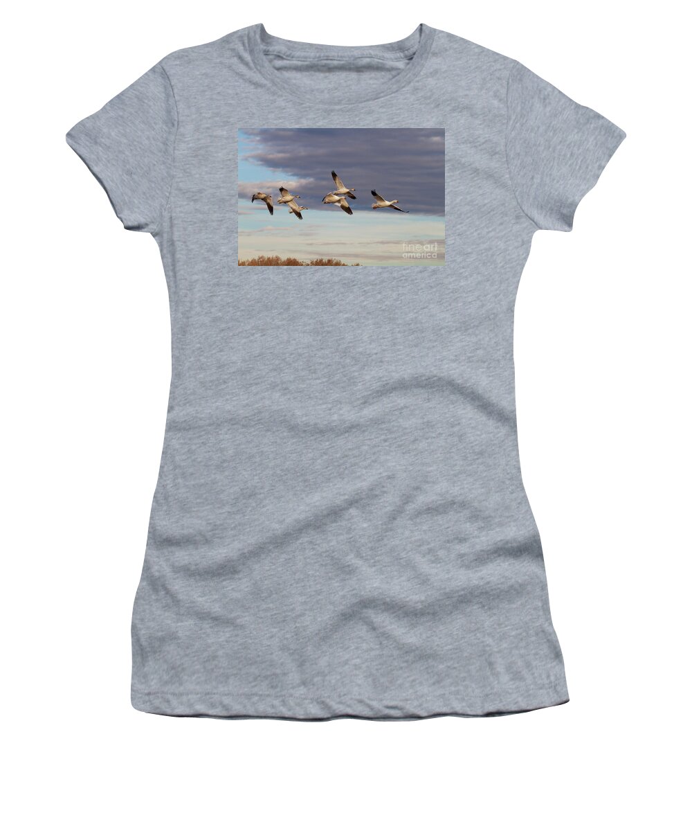 Goose Women's T-Shirt featuring the photograph Snow Geese in New Mexico by Ruth Jolly