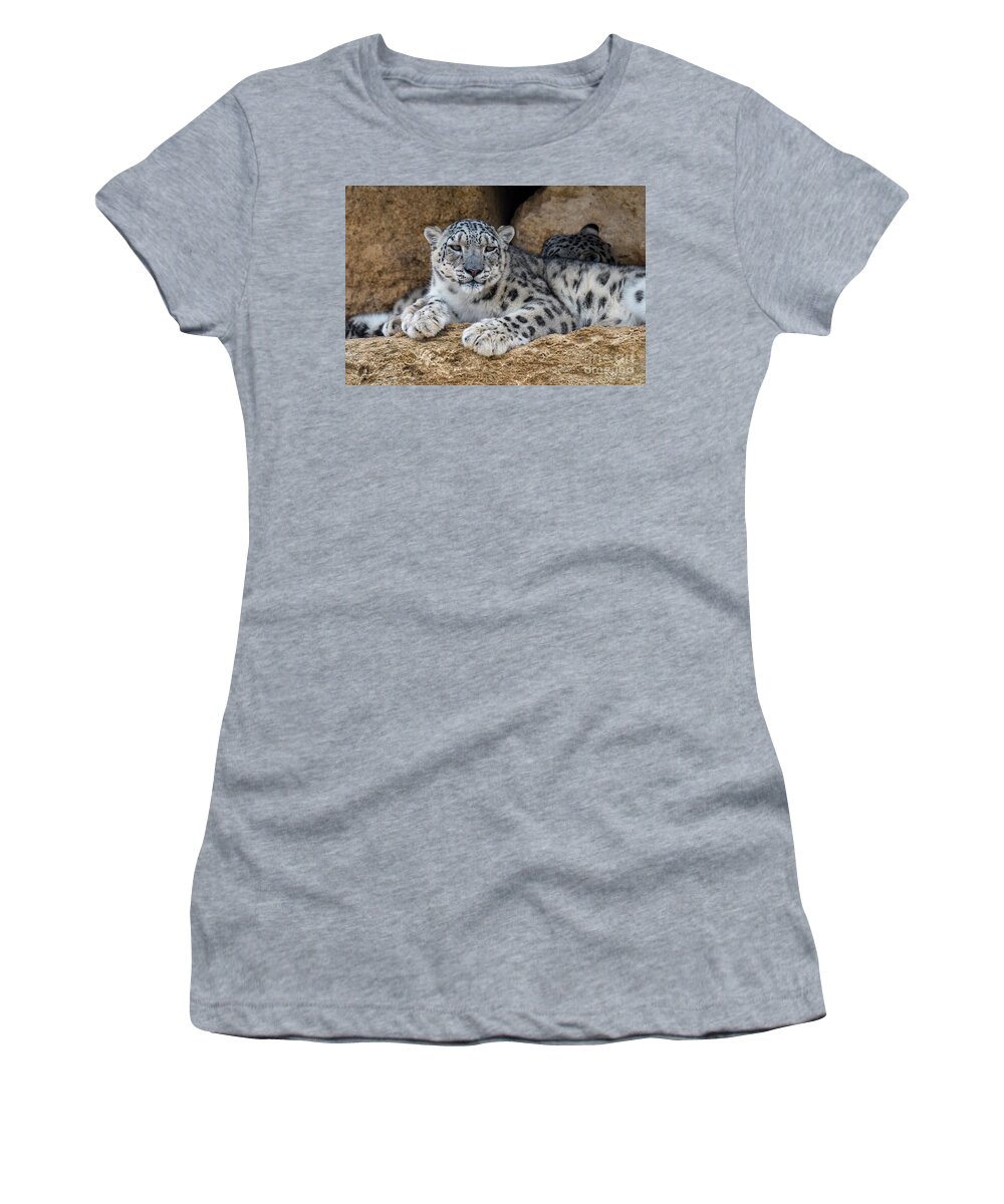Two Women's T-Shirt featuring the photograph Snow Leopard Couple by Arterra Picture Library