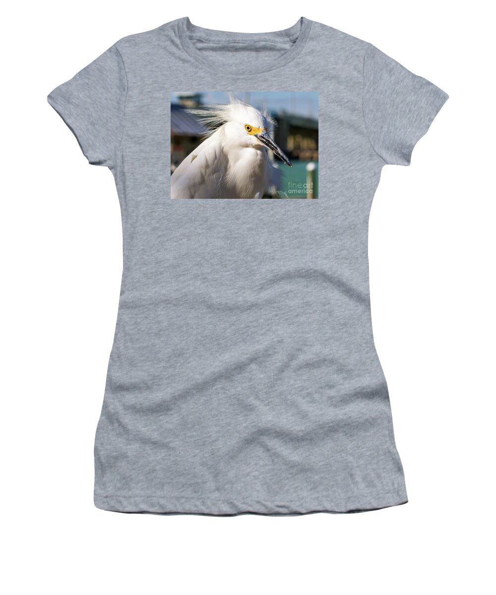 Snowy Egret Women's T-Shirt featuring the photograph Snowy at the Marina by Joanne Carey