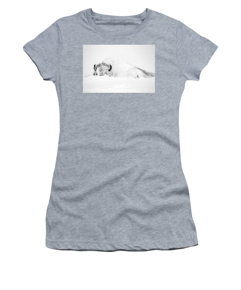 Snow Women's T-Shirt featuring the photograph Snowy Buffalo by D Robert Franz