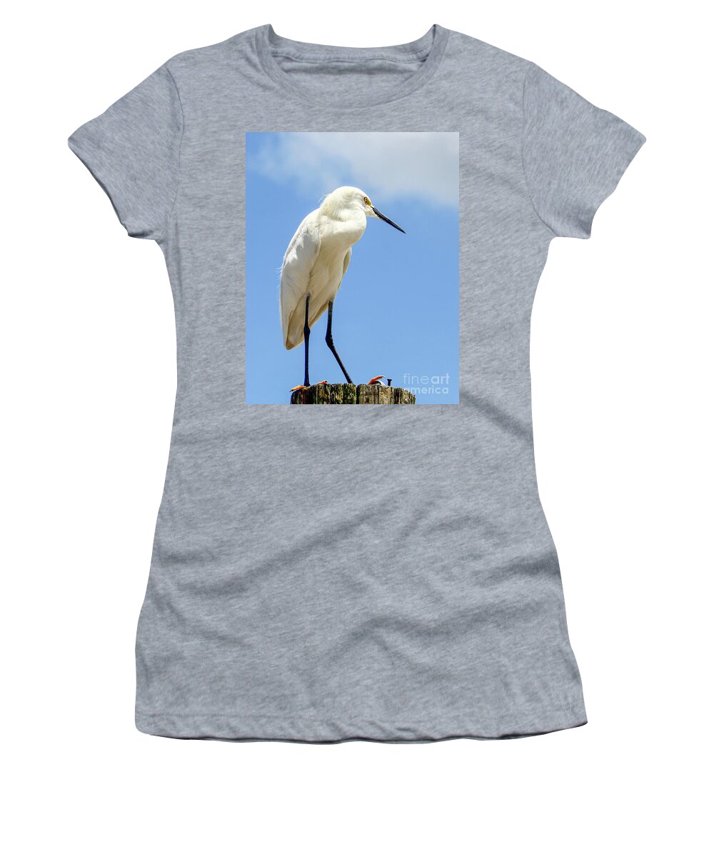 Egret Women's T-Shirt featuring the photograph Snowy Egret Gazing in the Distance by Joanne Carey