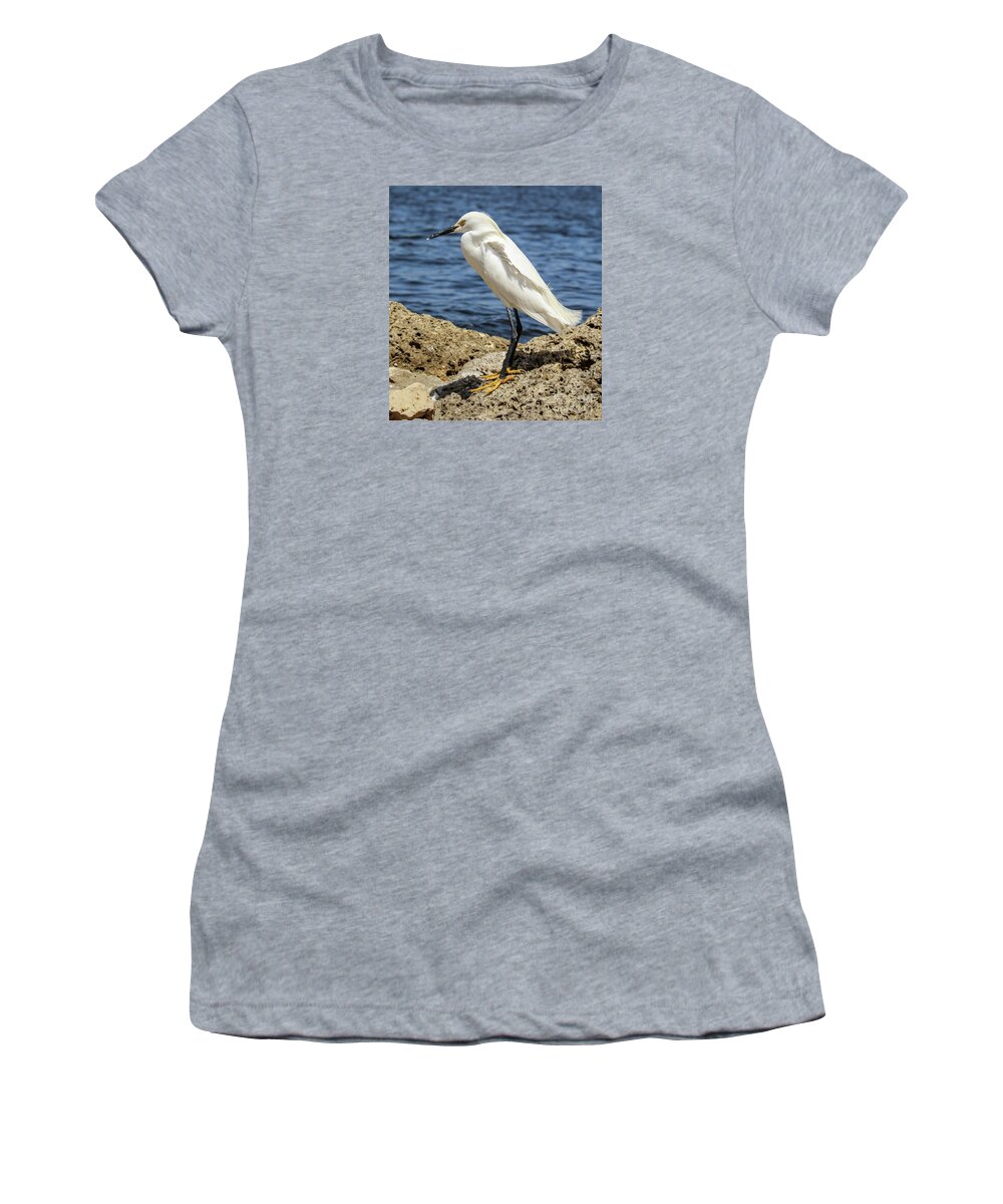 Snowy Egret Women's T-Shirt featuring the photograph Snowy egret portrait by Joanne Carey