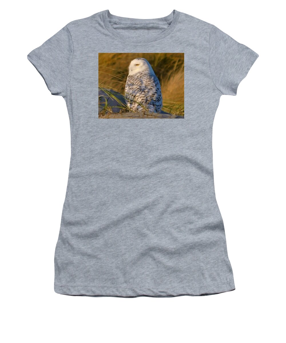 - Snowy Owl 2 Women's T-Shirt featuring the photograph - Snowy Owl 2 by THERESA Nye