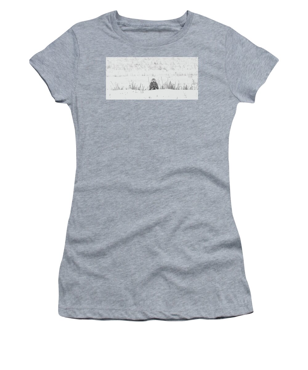 Snowy Owl Women's T-Shirt featuring the photograph Snowy Owl in Snowy Field by Carrie Ann Grippo-Pike
