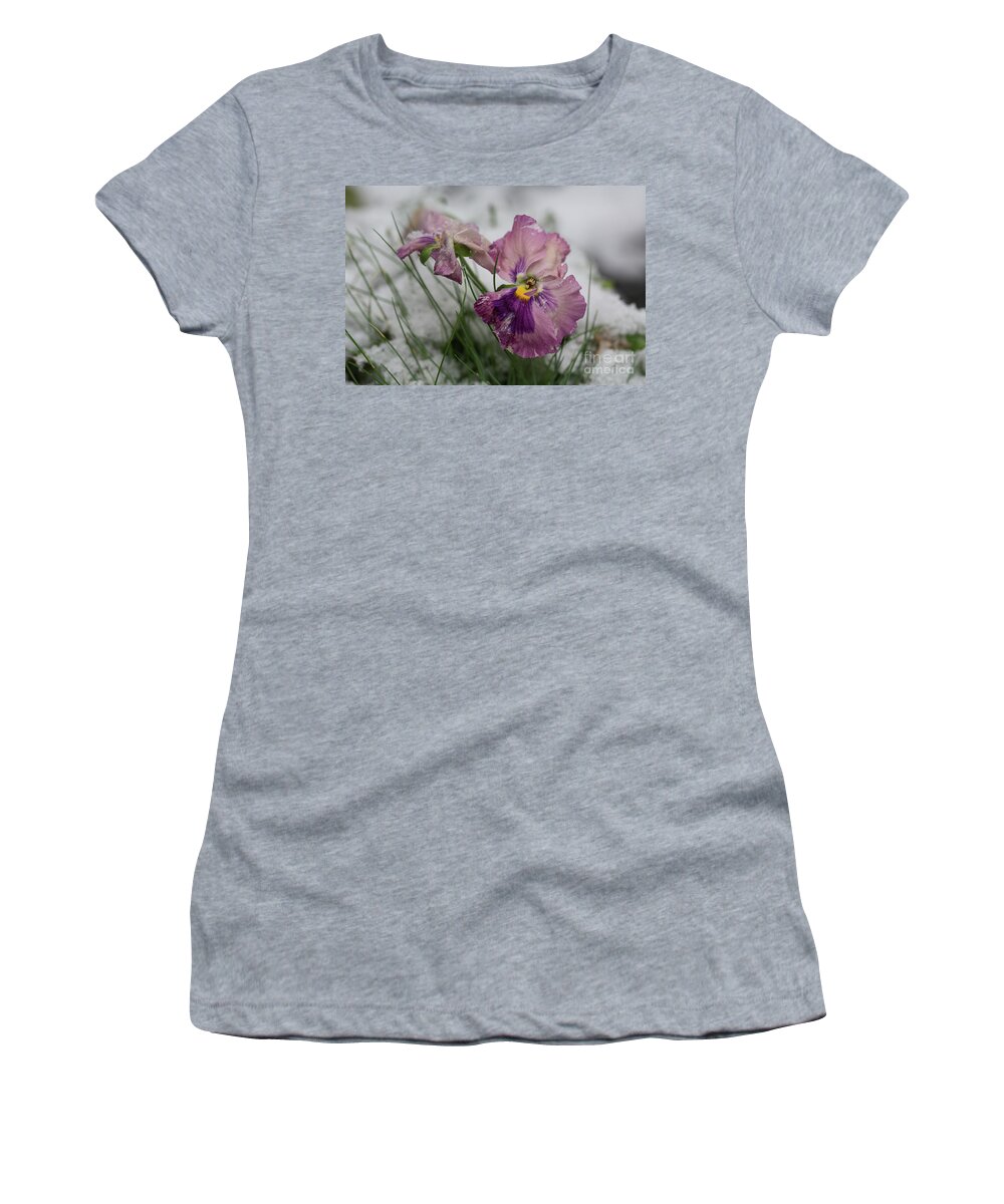 Pansies Women's T-Shirt featuring the photograph Snowy Pansies by Eva Lechner