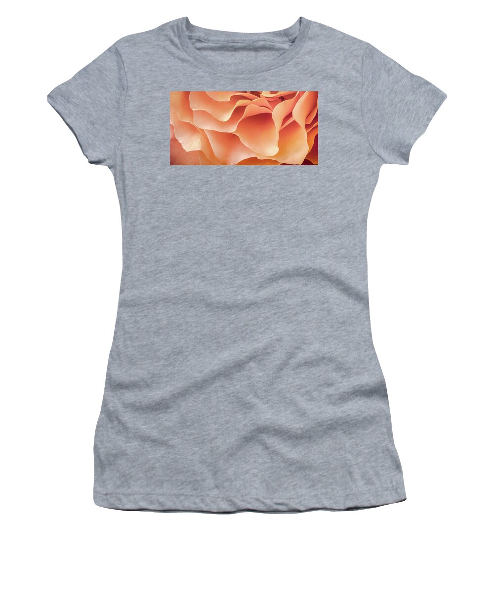 Rose Women's T-Shirt featuring the photograph Soft And Dreamy - Triptych Bottom by Elvira Peretsman
