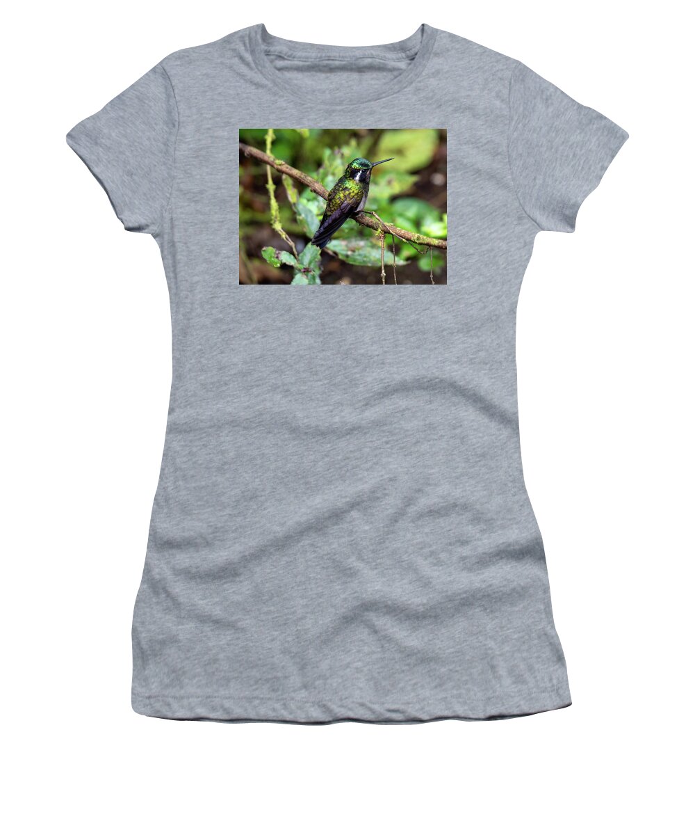 Birds Women's T-Shirt featuring the photograph Soft Landing by Leslie Struxness