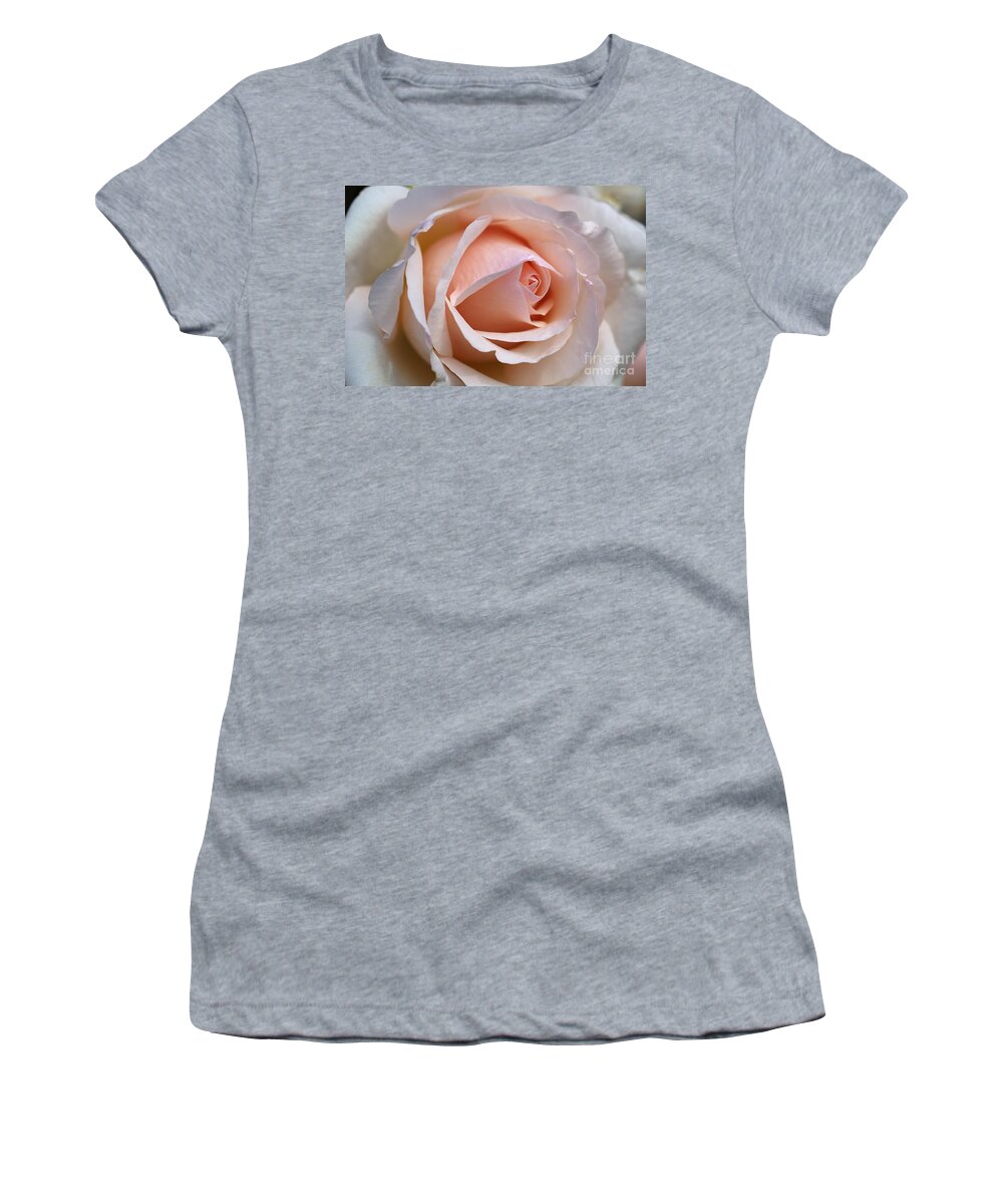 Floribunda Rose Women's T-Shirt featuring the photograph Soft Rose by Joy Watson