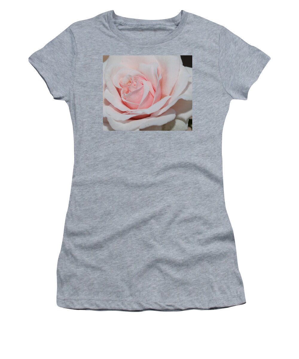 Rose Women's T-Shirt featuring the photograph Soft Pink by Mingming Jiang
