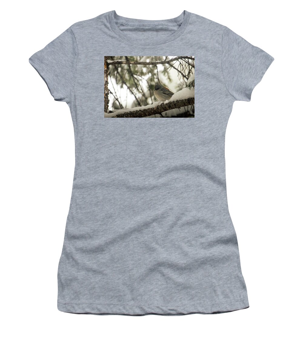 Wildlife Women's T-Shirt featuring the photograph Songbird in Winter by Laura Putman