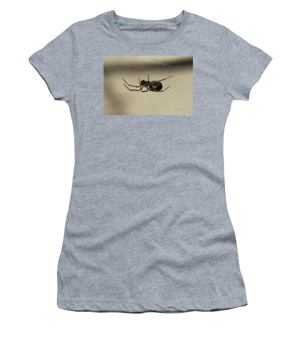 Spider Women's T-Shirt featuring the painting Spider under the web by Sv Bell