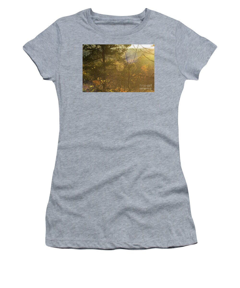 Spiderweb Women's T-Shirt featuring the photograph Spiderweb Forest Sunrise by Jennifer White