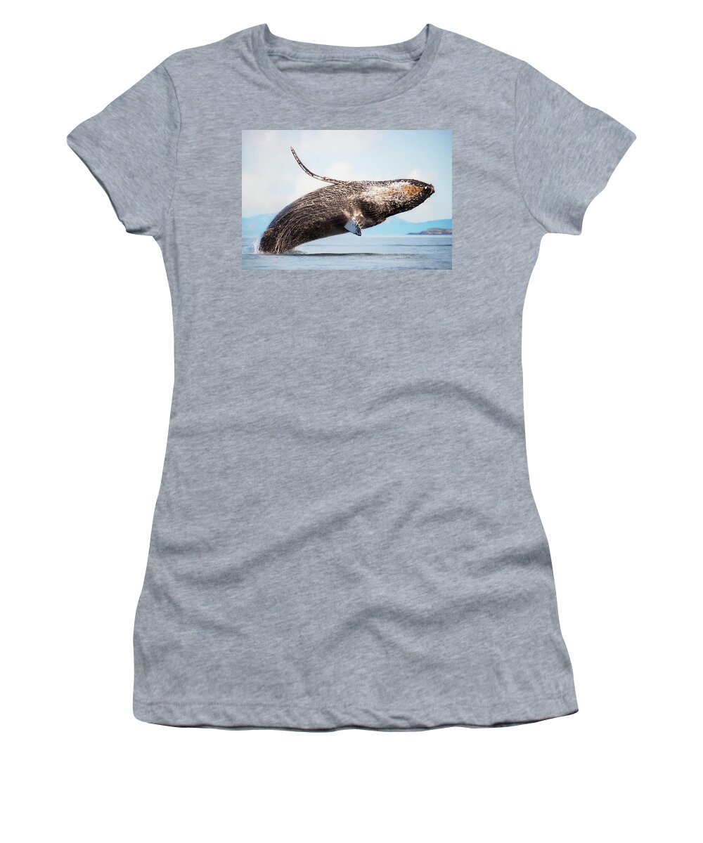Splash Heard Around The World Women's T-Shirt featuring the photograph Splash Heard Around The World - Whale Art by Jordan Blackstone