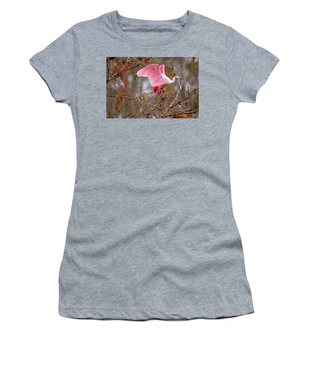  Women's T-Shirt featuring the photograph Spoonbill Nesting by Norman Peay