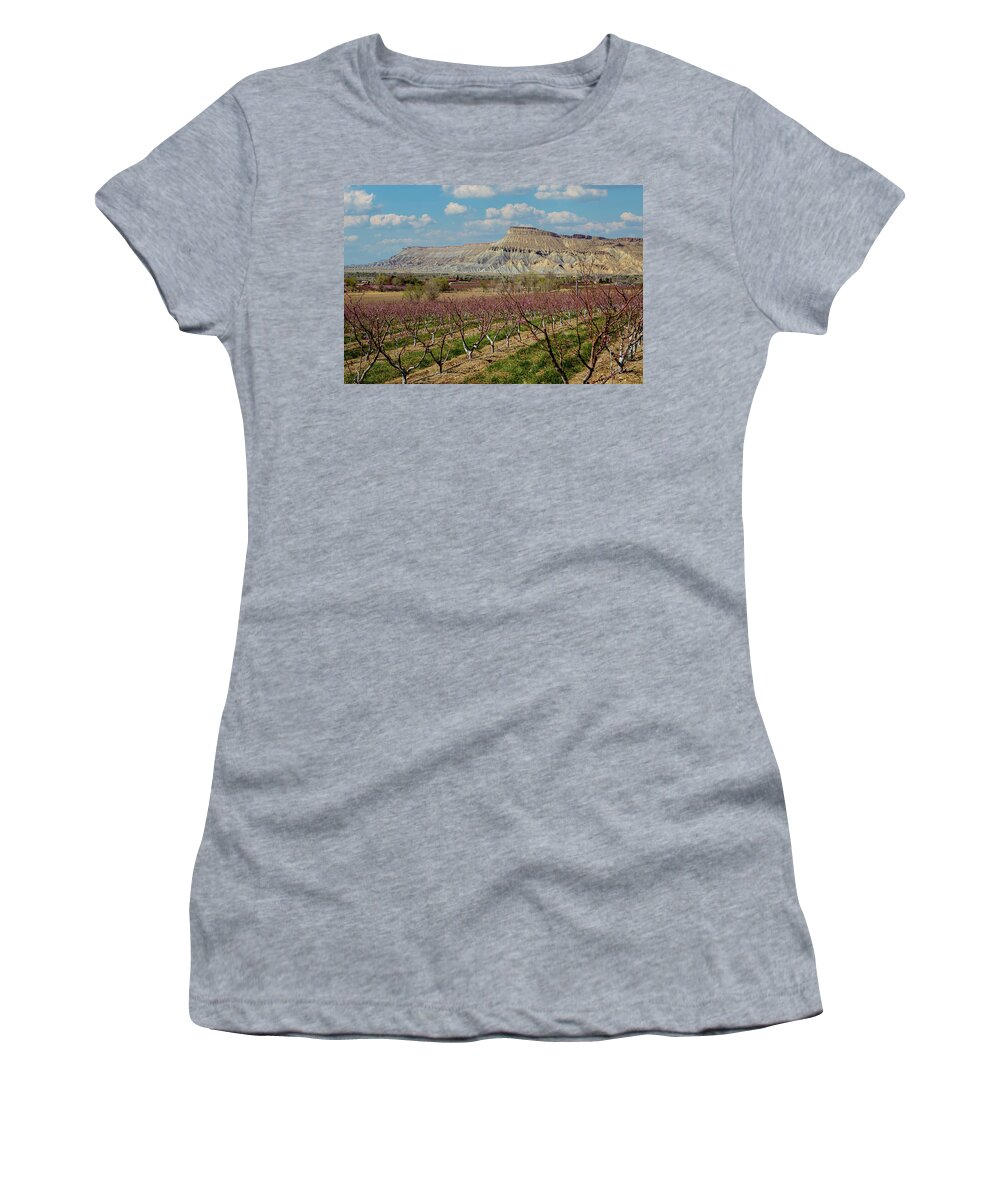 Colorado Women's T-Shirt featuring the photograph Spring Bloom in Colorado Peach Orchard by Teri Virbickis