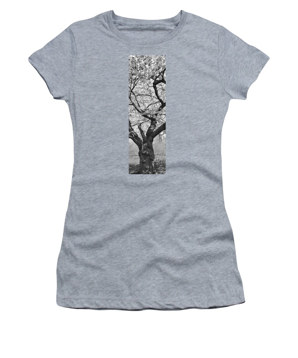 Cherry Trees Women's T-Shirt featuring the photograph Spring - Shades of Spring by Mike Savad