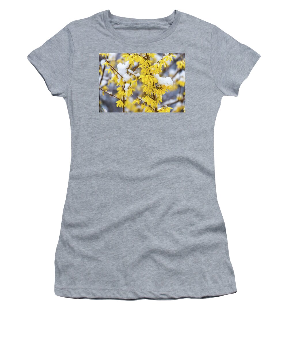 Spring Women's T-Shirt featuring the photograph Spring Snow 2 Forsythia by Michael Saunders