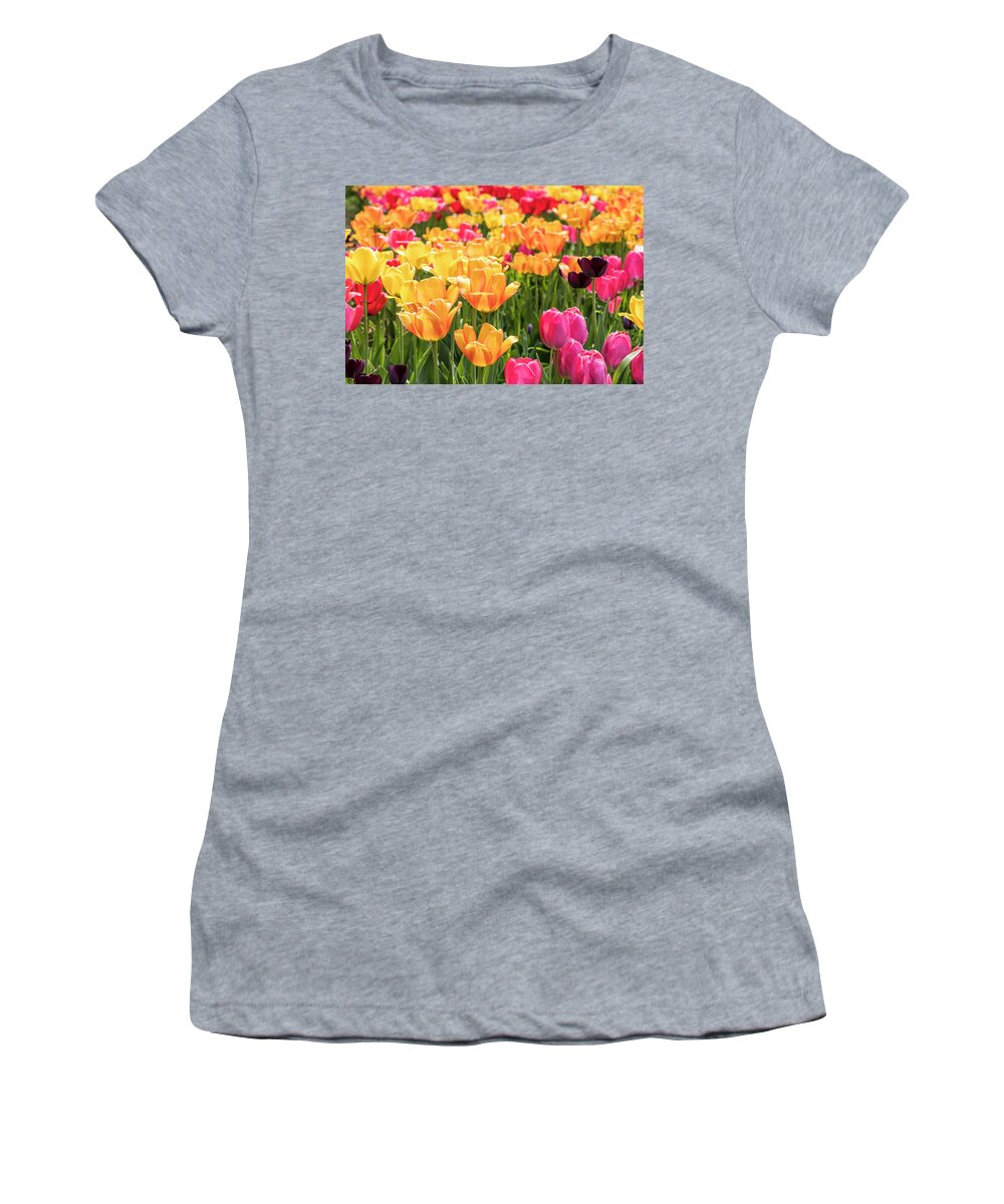  Women's T-Shirt featuring the photograph Spring Tulip Field #8 - Black Alone by Patti Deters