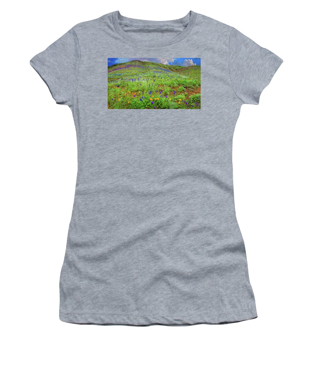 California Wildflowers Women's T-Shirt featuring the photograph Spring Wonders in Malibu Panorama by Lynn Bauer