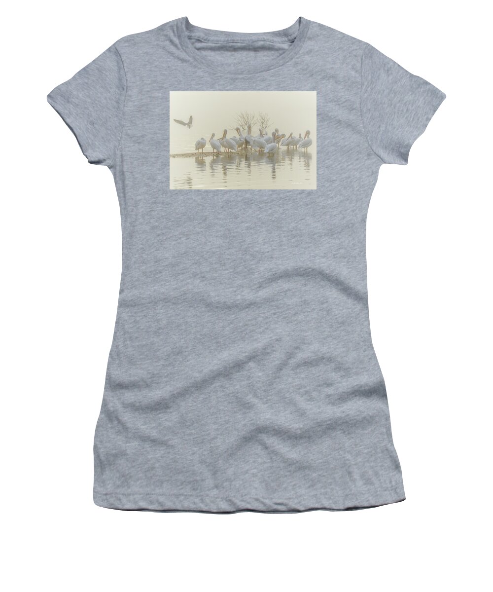 White Women's T-Shirt featuring the photograph Squadron in the Fog by Christopher Rice