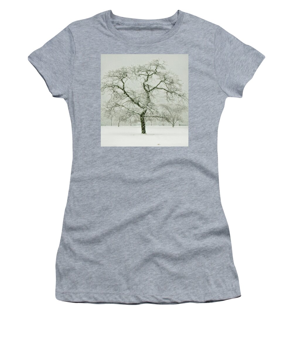 Snow Women's T-Shirt featuring the photograph Squall at Cummngs Park by Cordia Murphy