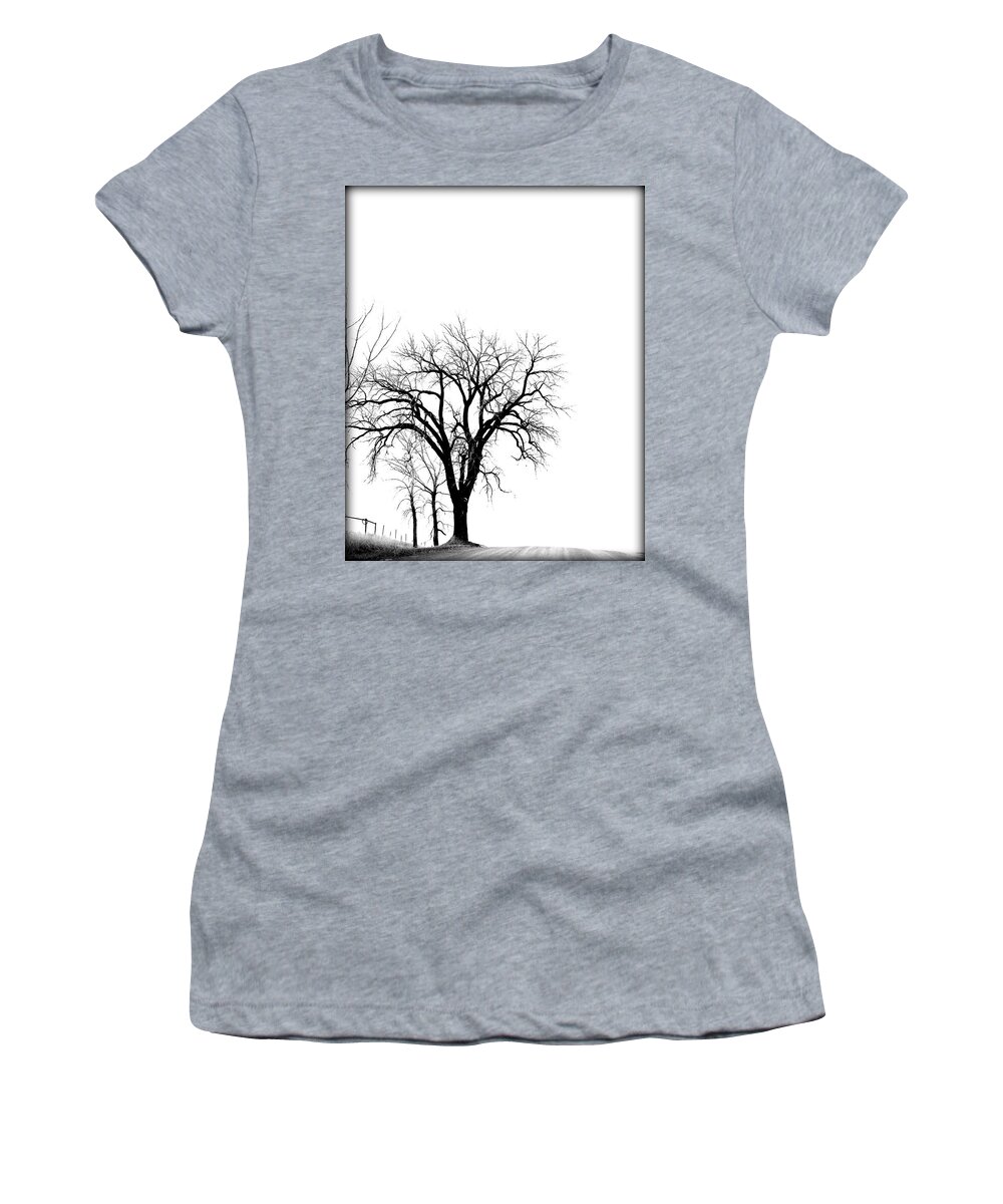 Trees Women's T-Shirt featuring the photograph Standing Along The Road by Amanda R Wright