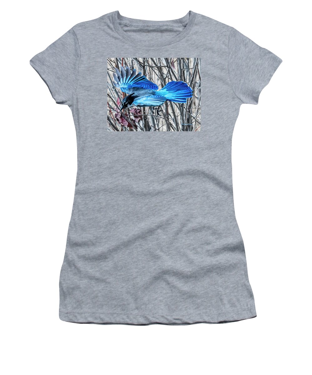 Steller's Jay Women's T-Shirt featuring the photograph Steller's Jay in-Flight by Stephen Johnson