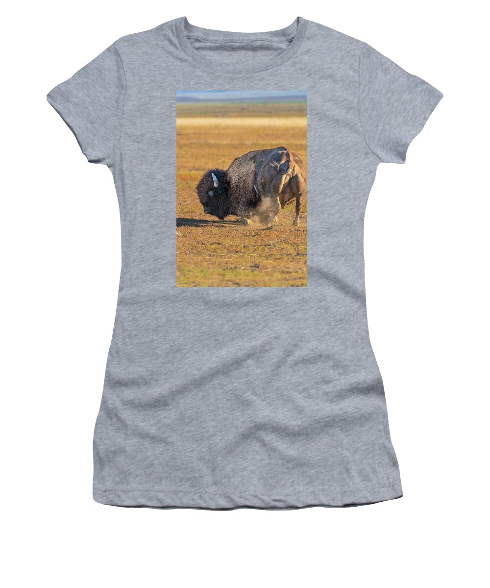 America Women's T-Shirt featuring the photograph Stop, Drop, and Roll by Erin K Images