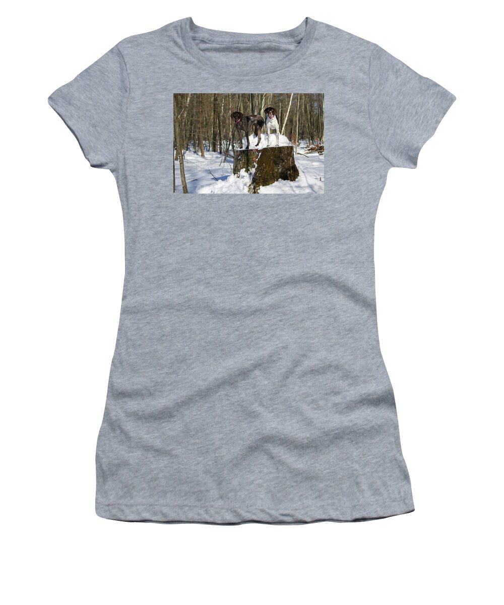 German Shorthair Women's T-Shirt featuring the photograph Stumped Dogs by Brook Burling