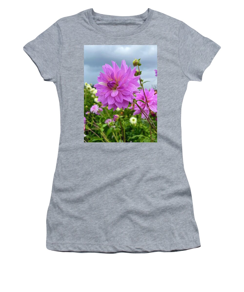 Flower Women's T-Shirt featuring the photograph Sun Searching by Brian Eberly