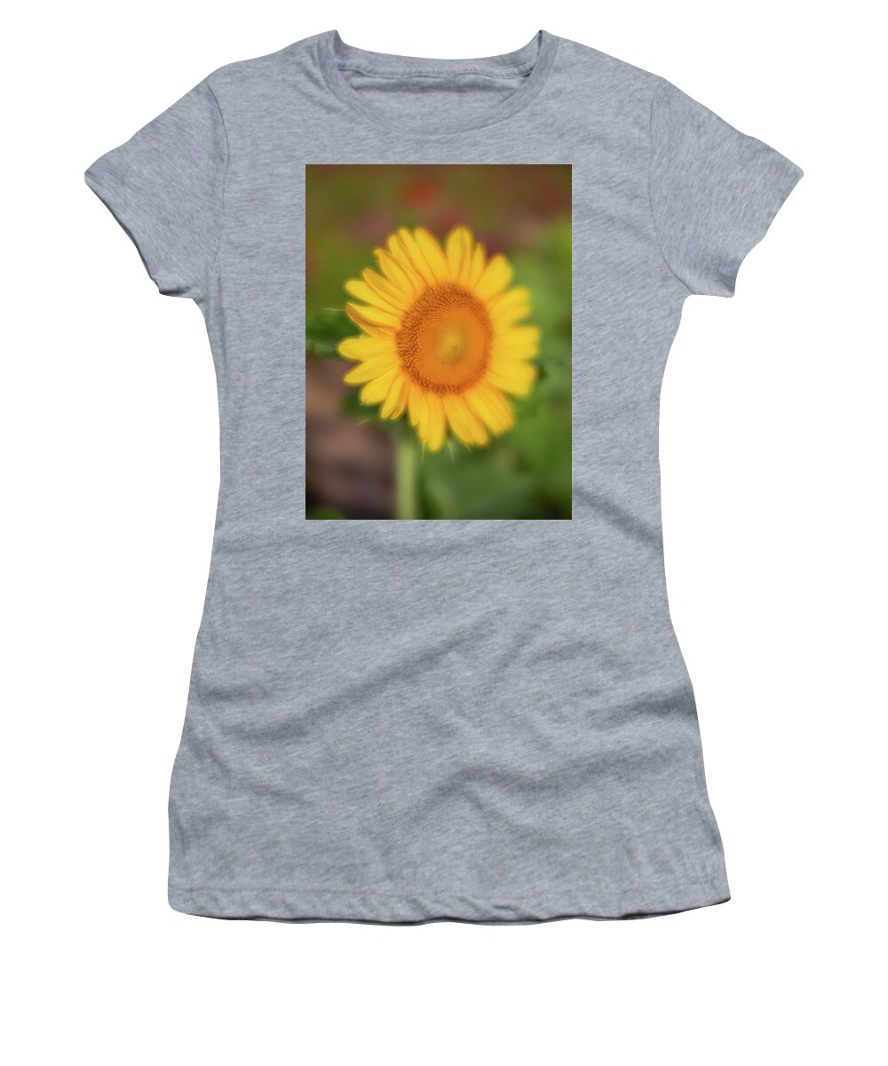 2020 Women's T-Shirt featuring the photograph Sunflower-1 by Charles Hite