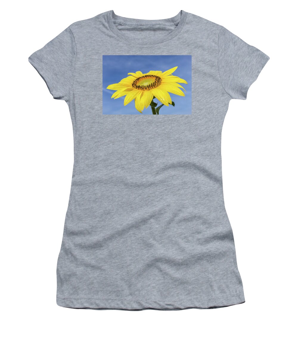 Sunflower Women's T-Shirt featuring the photograph Sunflower against blue sky by Robert Miller