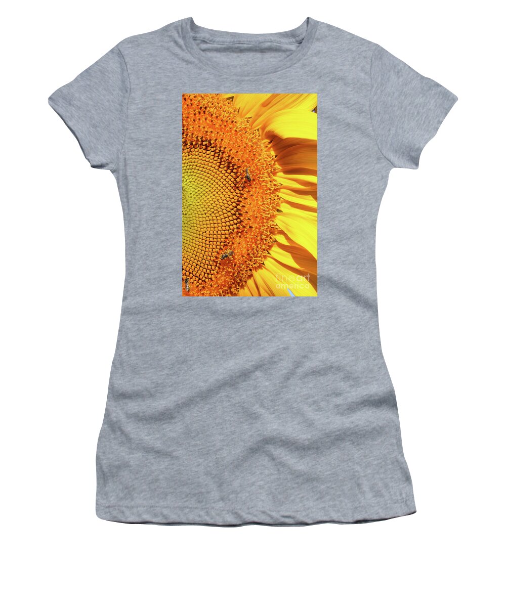 Right Side Women's T-Shirt featuring the photograph Sunflower Right by Carol Groenen