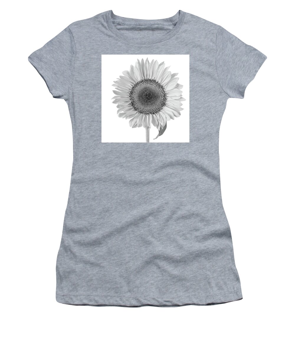 Sunflower Women's T-Shirt featuring the photograph Sunflower study in high key 1 by Alessandra RC