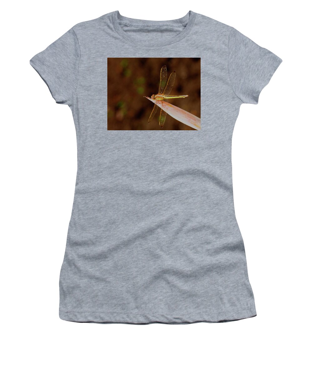 Dragonfly Women's T-Shirt featuring the photograph Sunning Dragon by Bill Barber