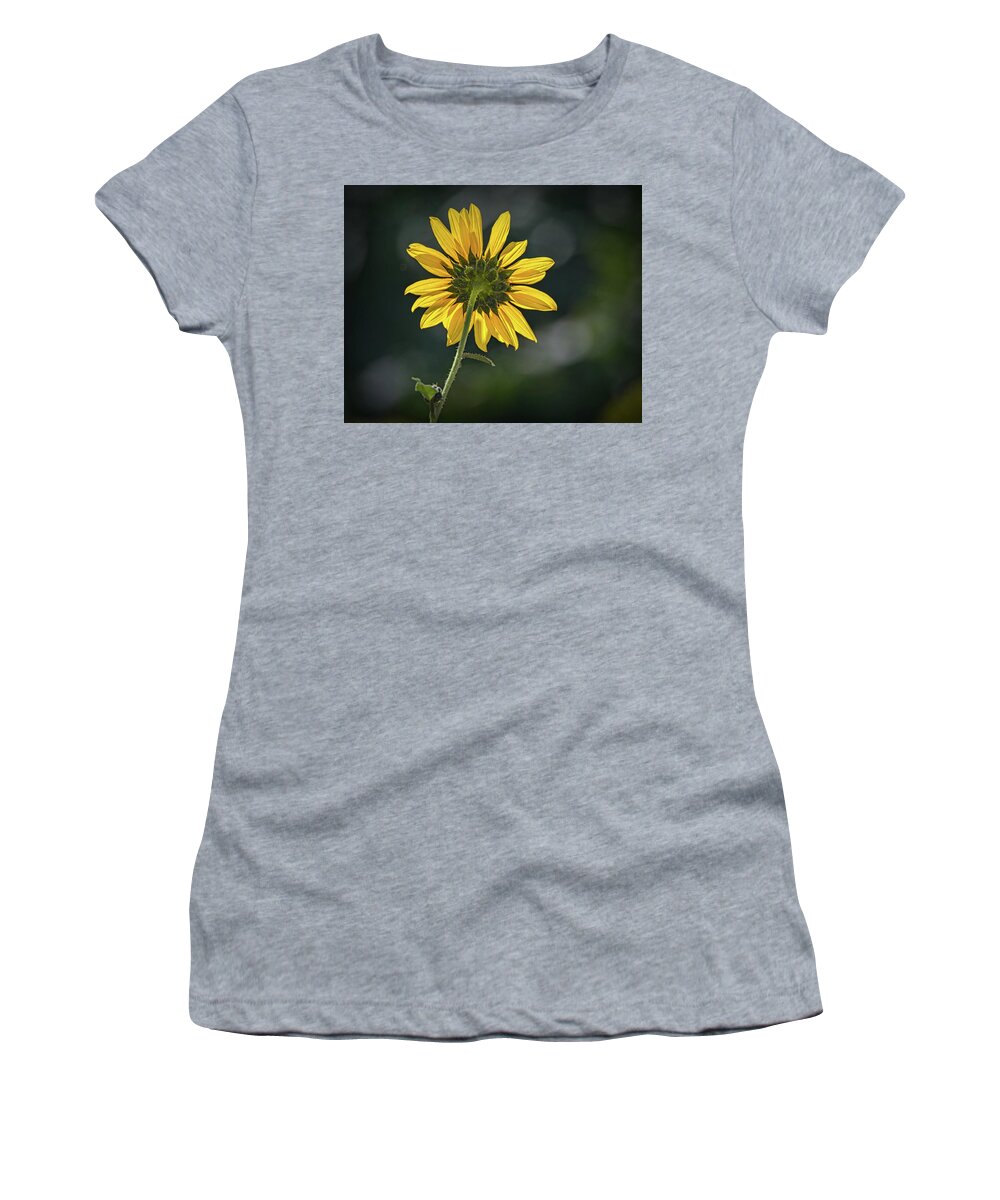 Bloom Women's T-Shirt featuring the photograph Sunny Sunflower Following the Sun by Debra Martz