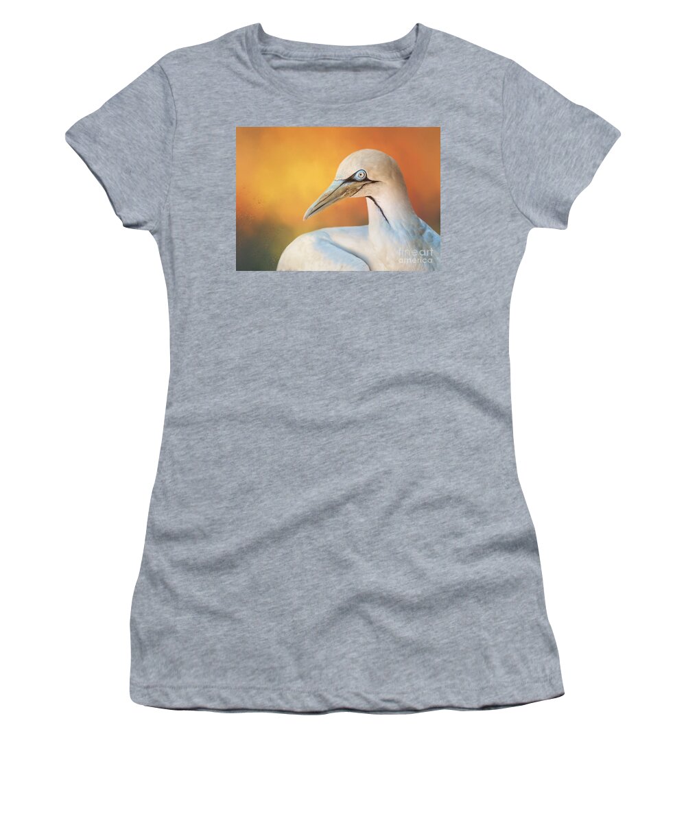 Gannet Women's T-Shirt featuring the photograph Sunset Gannet by Elisabeth Lucas